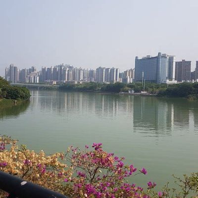 上海江濱公園在哪裏：探索城市綠肺的自然與人文之旅